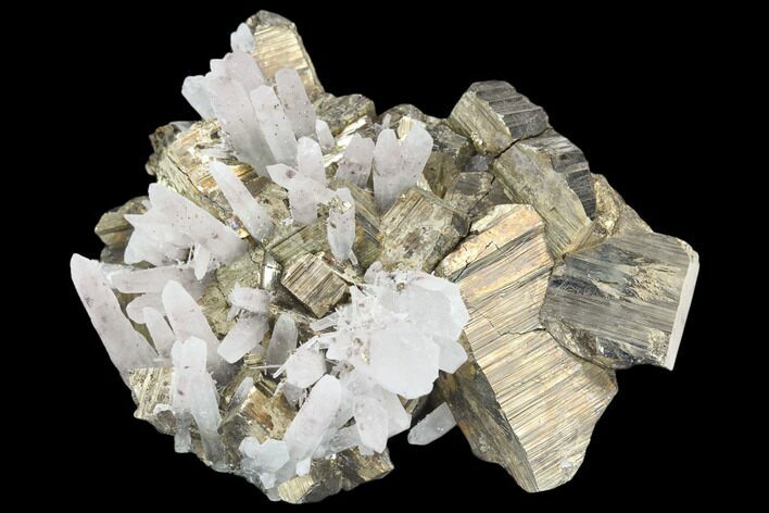 Pyrite and Quartz Crystal Association - Peru #126605